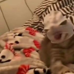 Meet your Posher, Hallie